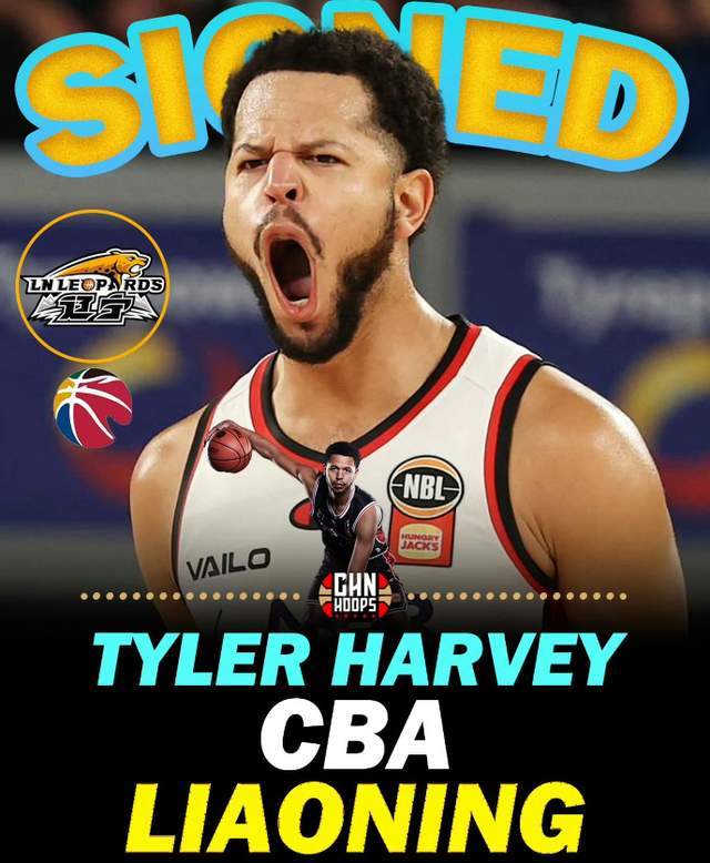 开元app-单场33+11超级外援正式重返CBA！辽篮抢人成功，能否补强最大短板